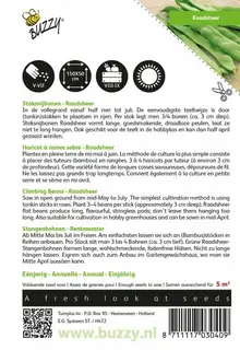 Buzzy® zaden - Stoksnijbonen Raadsheer - afbeelding 2