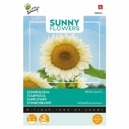 Buzzy® zaden - Sunny Flowers - Zonnebloem White Sun F1 - afbeelding 1