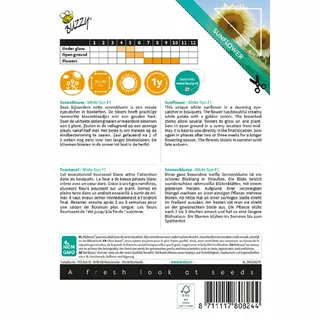 Buzzy® zaden - Sunny Flowers - Zonnebloem White Sun F1 - afbeelding 2