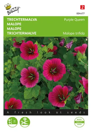 Buzzy® zaden - Trechtermalva Purple Queen - afbeelding 1