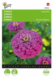 Buzzy® zaden - Zinnia Lavendel