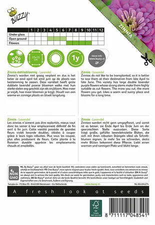 Buzzy® zaden - Zinnia Lavendel