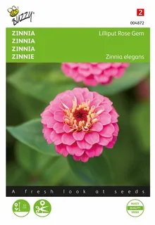 Buzzy® zaden - Zinnia Lilliput Rose Gem - afbeelding 1