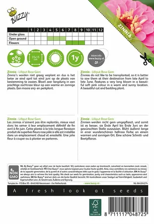 Buzzy® zaden - Zinnia Lilliput Rose Gem - afbeelding 2