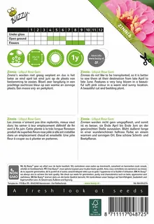Buzzy® zaden - Zinnia Lilliput Rose Gem - afbeelding 2