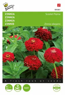 Buzzy® zaden - Zinnia Scarlet Flame