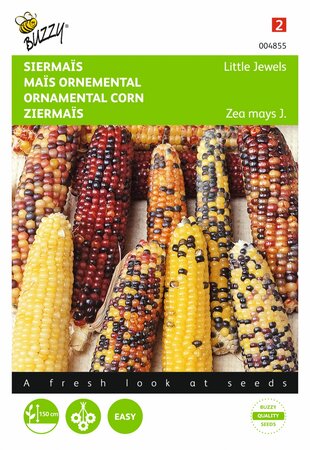 Buzzy® zaden - Zea Mays, Siermaïs Little Jewels gemengd - afbeelding 1