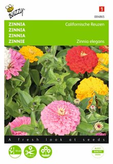 Buzzy® zaden - Zinnia Californische Reuzen gemengd - afbeelding 1