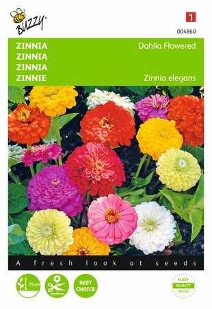 Buzzy® zaden - Zinnia Dahliabloemig gemengd - afbeelding 1