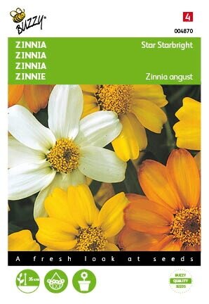 Buzzy® zaden - Zinnia Star Starbright gemengd - afbeelding 1