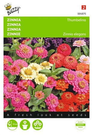 Buzzy® zaden - Zinnia Thumbelina gemengd - afbeelding 1