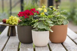 Capi Pot Bol Groove 16 x 15 cm Warm Taupe - afbeelding 2