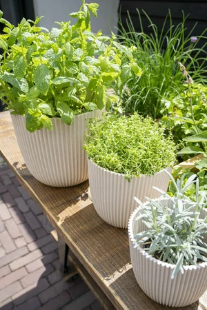 Capi Pot Bol Groove 16 x 15 cm Sawdust White - afbeelding 2