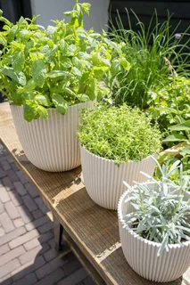 Capi Pot Bol Groove 16 x 15 cm Sawdust White - afbeelding 2