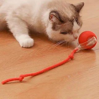 Catch me cat kattenspeeltje - afbeelding 3