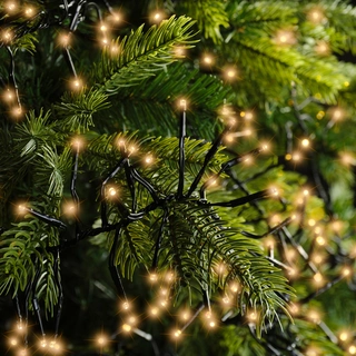 Clusterverlichting - Lumineo - 3000 lampjes klassiek warm - afbeelding 4