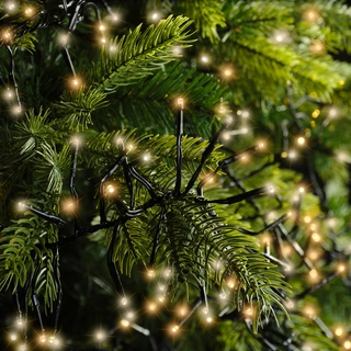 Clusterverlichting - Lumineo - 768 lampjes warm wit/klassiek warm - afbeelding 6