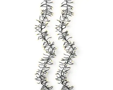 Clusterverlichting Twinkle - Lumineo - 2040 lampjes soft gold