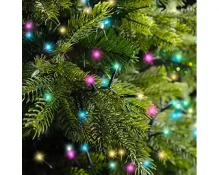 Compact LED Lights Twinkle - Lumineo - 1000 lampjes Soft Multicolor - afbeelding 4