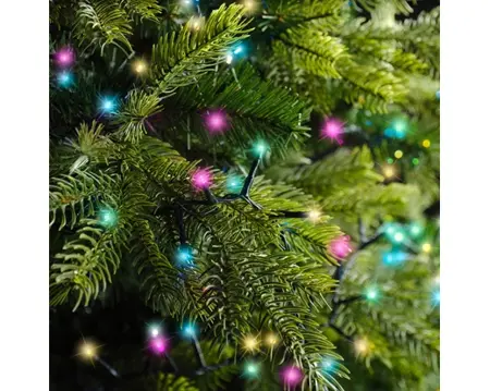 Compact LED Lights Twinkle - Lumineo - 500 lampjes Soft Multi colour - afbeelding 3