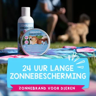 Zonnebrand voor Dieren