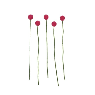 Craspedia Vilt Fuchsia - 5st