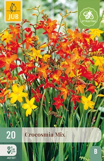 Crocosmia Mix 20st
