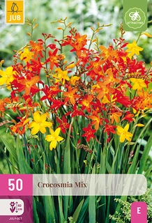 Crocosmia Mix 50st