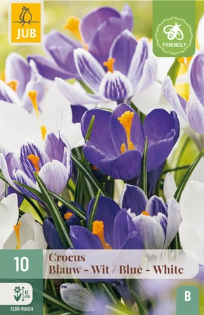 Crocus blauw/wit mix - 10 bloembollen