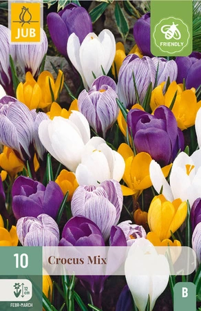 Crocus grootbloemig mix - 10 bloembollen