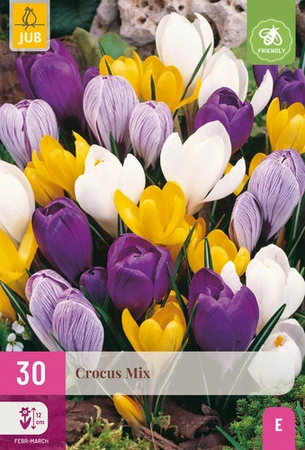 Crocus grootbloemig mix - 30 bloembollen
