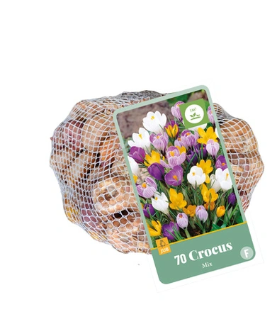 Crocus Mix - 70 bloembollen