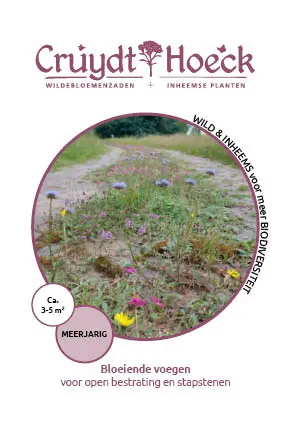 Cruydt-Hoeck Bloeiende Voegen - Voor Open Bestrating En Stapstenen - afbeelding 1