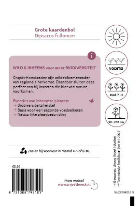 Cruydt-Hoeck Grote Kaardenbol - Dipsacus Fullonum