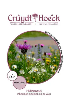 Cruydt-Hoeck Plukmengsel - Inheemse Bloemen Op De Vaas