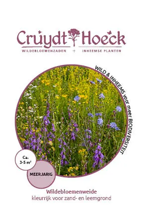 Cruydt-Hoeck Wildebloemenweide - Kleurrijk Voor Zand- En Leemgronden - afbeelding 1
