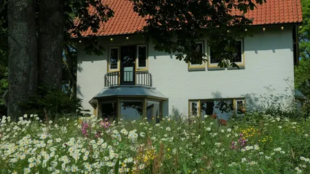 Cruydt-Hoeck Wildebloemenweide - Voor Klei- En Leemgronden - afbeelding 4