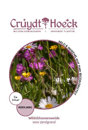 Cruydt-Hoeck Wildebloemenweide - Voor Zandgrond - afbeelding 1