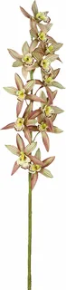 Cymbidiumsteel L97cm Groen