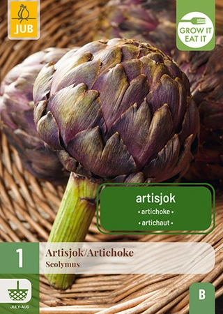 Cynara Scolymus / Artisjok 1st