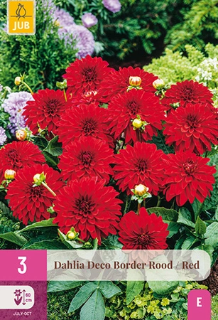 Dahlia Deco Border Rood 3st