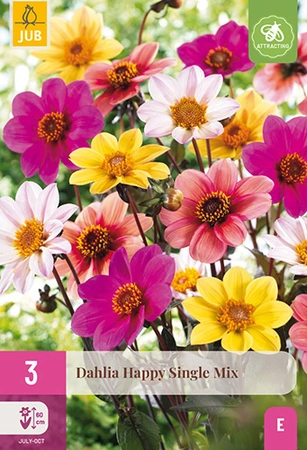 Dahlia Happy Single Mix