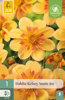 Dahlia Kelsey Annie Joy 1st