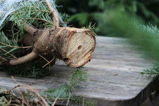 Kerstboomstandaard Easyfix