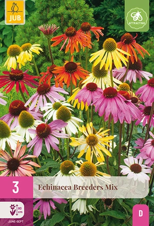 Echinacea Breeders Mix 3st