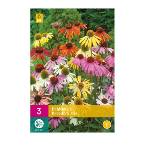 Echinacea Breeders Mix 3st