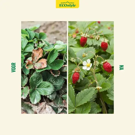 Ecostyle Aardbeien-AZ+ 800 g - afbeelding 3