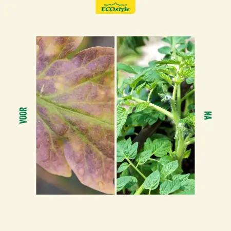 Ecostyle Beendermeel 1,6 kg - afbeelding 3