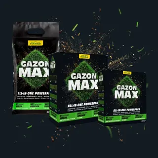 ECOstyle GazonMax 10kg - afbeelding 6