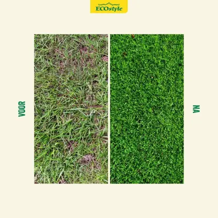 Ecostyle Graszaad Herstel 250 gram - afbeelding 4